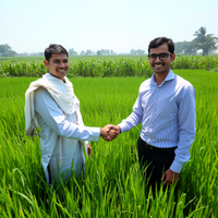 Farmers agreeing a deal in a paddy field